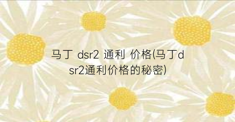 马丁 dsr2 通利 价格(马丁dsr2通利价格的秘密)